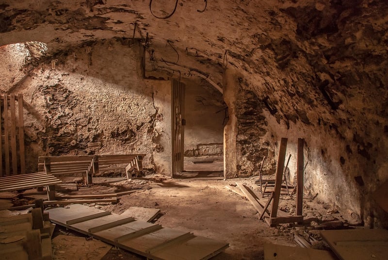 Cellar Exploration
