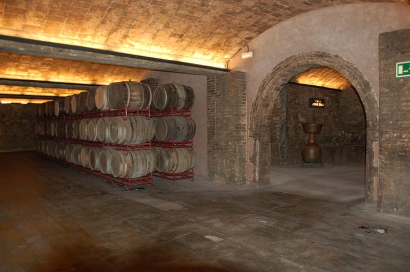 Cellar Exploration